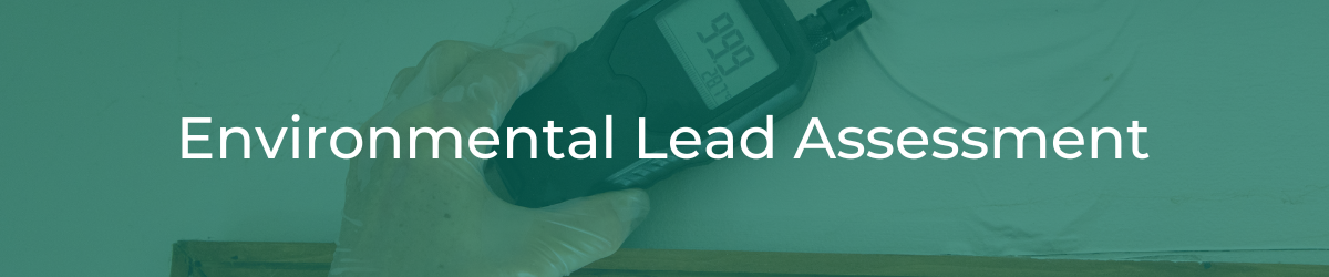 Environmental Lead Assessment header
